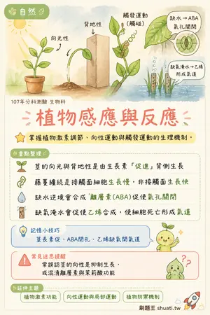 AI 記憶小卡