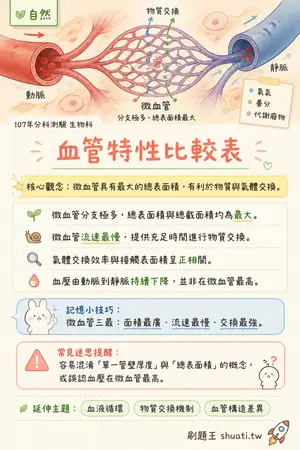 AI 記憶小卡