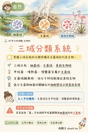 AI 記憶小卡