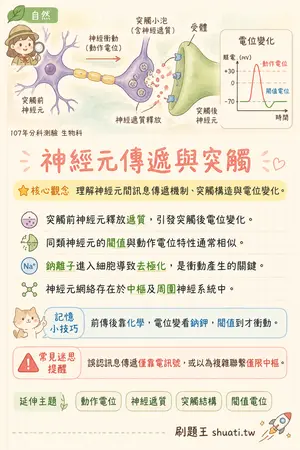 AI 記憶小卡