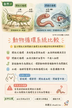 AI 記憶小卡