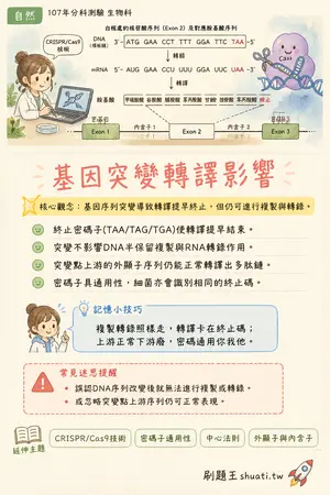 AI 記憶小卡