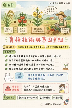 AI 記憶小卡