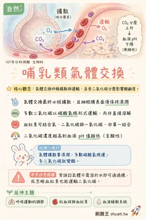AI 記憶小卡