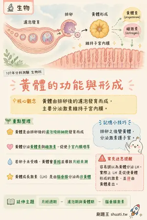 AI 記憶小卡