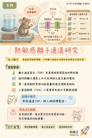 AI 記憶小卡