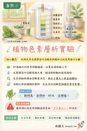 AI 記憶小卡