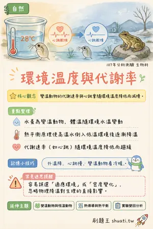 AI 記憶小卡