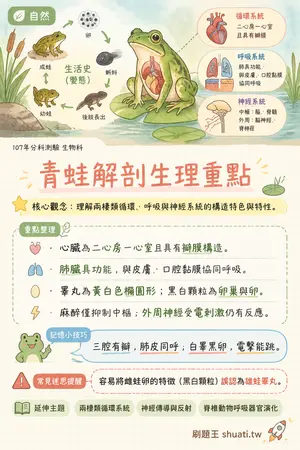 AI 記憶小卡