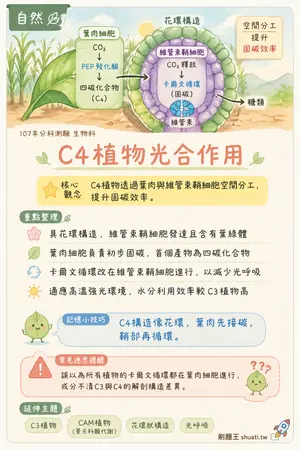AI 記憶小卡
