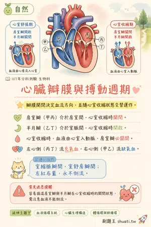 AI 記憶小卡