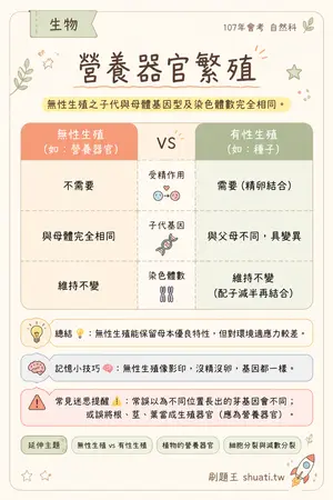 AI 記憶小卡