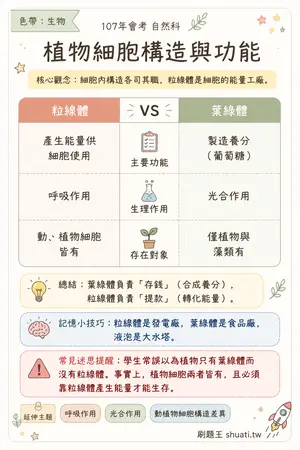 AI 記憶小卡