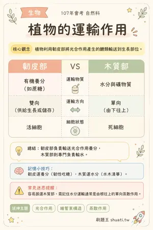 AI 記憶小卡