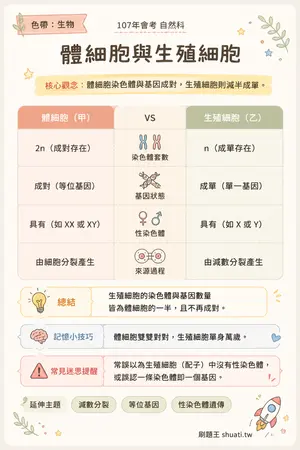 AI 記憶小卡