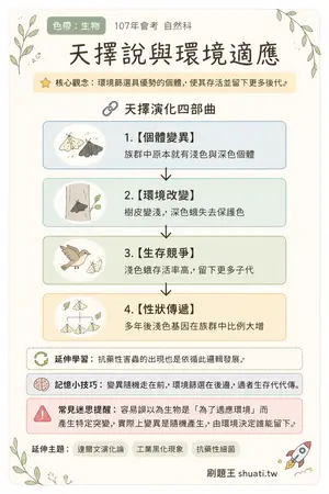 AI 記憶小卡