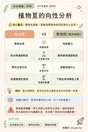 AI 記憶小卡