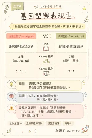 AI 記憶小卡