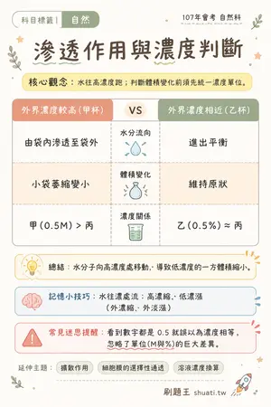 AI 記憶小卡