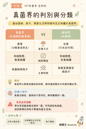 AI 記憶小卡