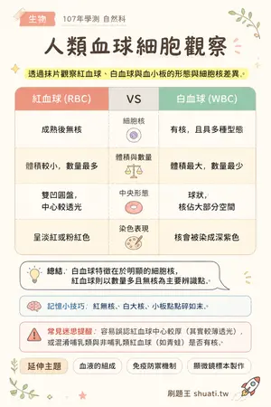 AI 記憶小卡