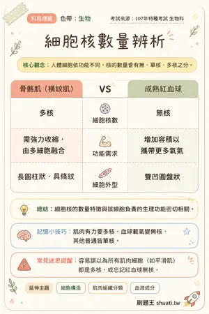 AI 記憶小卡