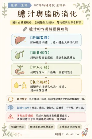 AI 記憶小卡