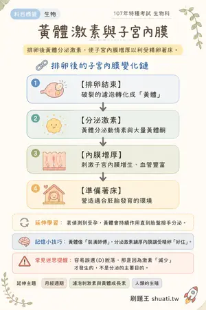 AI 記憶小卡
