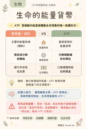 AI 記憶小卡