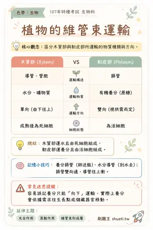 AI 記憶小卡