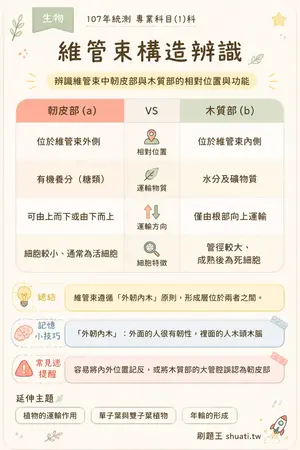 AI 記憶小卡