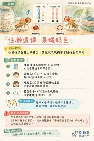 AI 記憶小卡