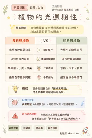 AI 記憶小卡