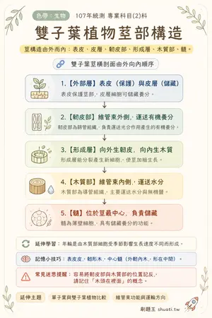 AI 記憶小卡