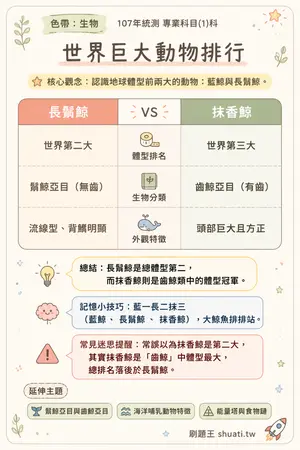 AI 記憶小卡