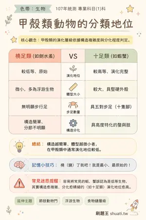 AI 記憶小卡