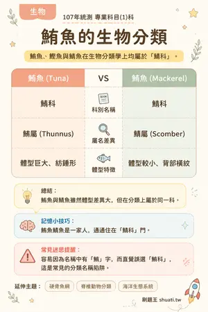 AI 記憶小卡