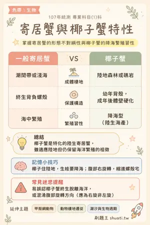 AI 記憶小卡