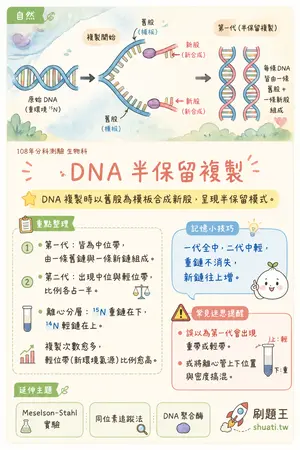 AI 記憶小卡