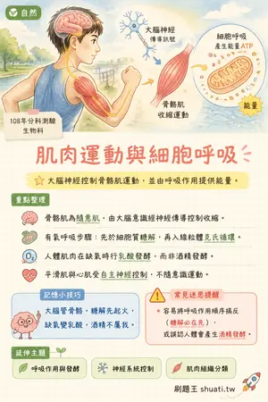 AI 記憶小卡