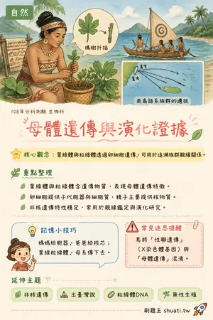 AI 記憶小卡