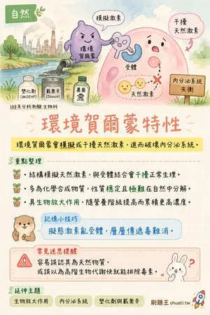 AI 記憶小卡