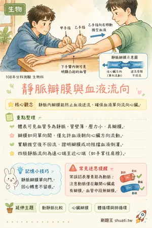 AI 記憶小卡