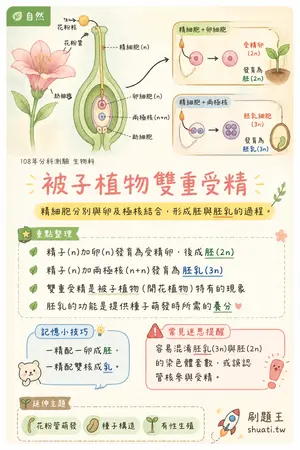 AI 記憶小卡