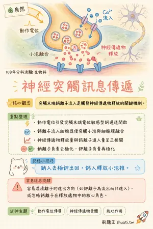 AI 記憶小卡