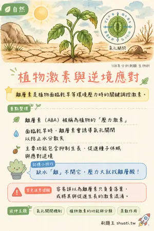 AI 記憶小卡