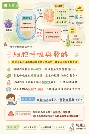 AI 記憶小卡