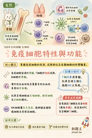 AI 記憶小卡