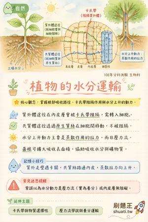 AI 記憶小卡