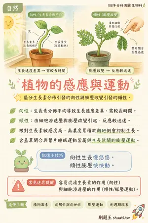 AI 記憶小卡